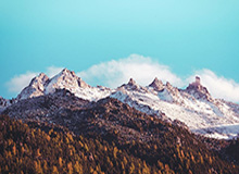 dafabet中国：开启全球博彩智慧的新纪元