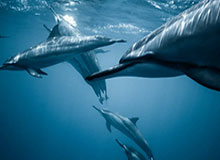 开云登录入口：开启高效、安全的数字生活之门